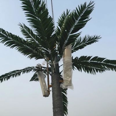 ১০ ২০ ৩০ ৪০ মি ক্যামুফ্লেড সেল টাওয়ার টেলিযোগাযোগ একচেটিয়া পাইন ট্রি সেল টাওয়ার