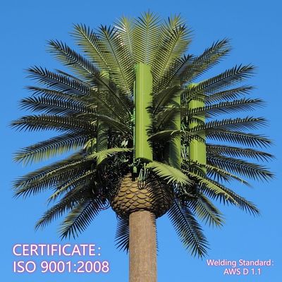 লুকানো গাছ অ্যান্টেনা টাওয়ার আবহাওয়া প্রতিরোধী ইস্পাত 20m ওয়াইফাই সংকেত আবাসিক এলাকা গোপন