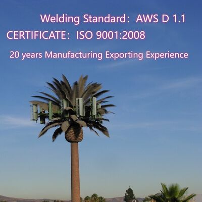 পাম ট্রি ভুয়া ট্রি সেল টাওয়ার ছদ্মবেশযুক্ত টেলিযোগাযোগ 5-80M