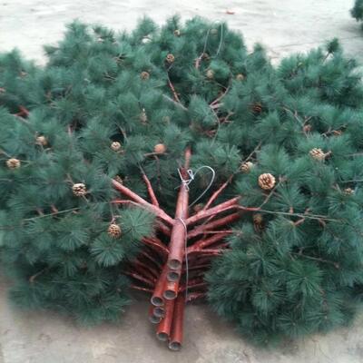 36M Bionic Tree Tower featuring modular components and hidden cable management systems for clean and telecom equipment installation