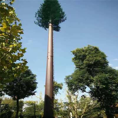 টেলিকমিউনিকেশন মাইক্রোওয়েভ এবং পরিবেশগত পর্যবেক্ষণ সরঞ্জাম সমর্থনকারী সমন্বিত কেবল ব্যবস্থাপনা এবং লুকানো প্ল্যাটফর্ম সহ বায়োনিক ট্রি টাওয়ার