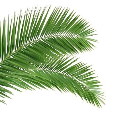 বায়োনিক ট্রি টাওয়ারের সাথে গাছের মতো চেহারা সহ ফাইবারগ্লাস শাখাগুলি এবং ঝুড়ির জন্য নিরবচ্ছিন্ন ল্যান্ডস্কেপ মিশ্রণ