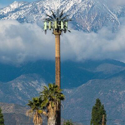 Bionic Tree Tower artificial tree tower with ANSI TIA 222 G H F and EN 1991 1 4 EN 1993 3 1 design codes for infrastructure