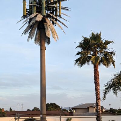 Bionic Tree Tower designed for wind speeds up to 250 kmh with mild and high tensile steel grades ensuring safety and durability