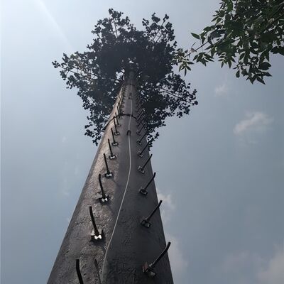 রিসোর্ট হোটেল ল্যান্ডস্কেপের জন্য 18 27 35 মিটার ছদ্মবেশী পাম ট্রি টেলিকম টাওয়ার
