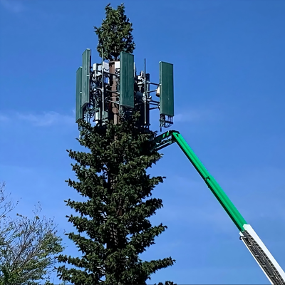5G ওয়্যারলেস নেটওয়ার্ক নান্দনিক ইন্টিগ্রেশন বায়োনিক পাম ট্রি কমিউনিকেশন মাস্ট ফ্যাক্টরির জন্য ইকো-ফ্রেন্ডলি ছদ্মবেশী বায়োনিক পাইন ট্রি টাওয়ার