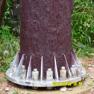 ল্যান্ডস্কেপ এরিয়া 5G নেটওয়ার্ক সাইট Q345B গ্যালভানাইজডের জন্য ক্যামোফ্লাজড লিফেজ এবং লুকানো অ্যান্টেনা সিস্টেম সহ মজবুত বায়োনিক পাইন ট্রি টাওয়ার