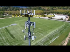 2.মোনোপল টাওয়ার