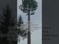 বায়োনিক ট্রি টাওয়ার